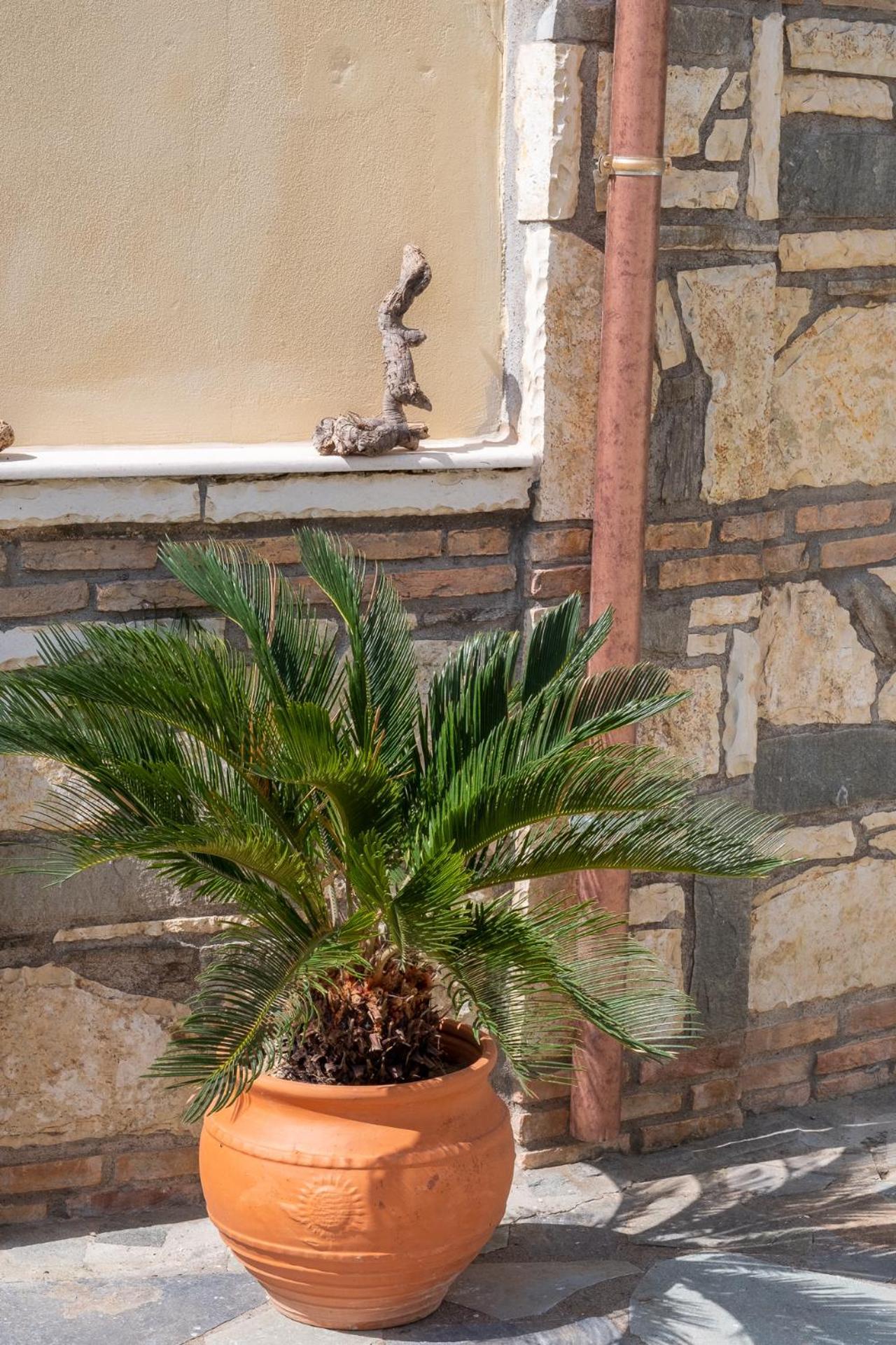 Sekreto - "S" Maisonettes & Studios Adults Only Parga Dış mekan fotoğraf